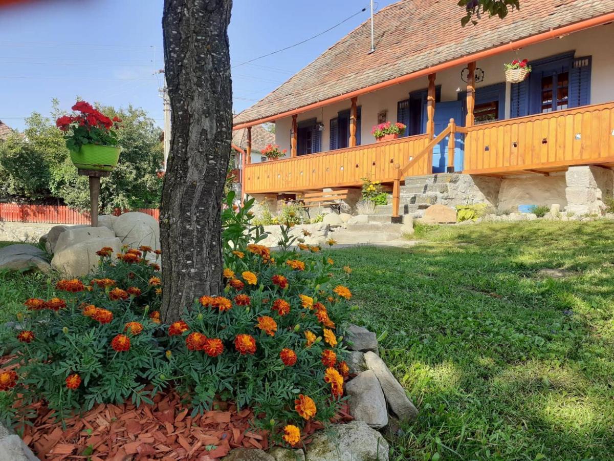 Siklod. Botond Panorama Kulcsoshaz Villa Exterior foto